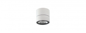 Ceiling Mounted - SD10-S-15W