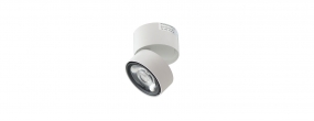 Ceiling Mounted - SD10-S-15W